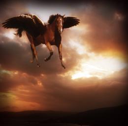 Flying Horse